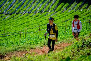 BIB: 3557
                            <button type="button" onclick="openModal(19163690)" class="btn btn-primary btn-sm float-right btn-popup" data-toggle="modal" data-target=".modal-high-quality">
                        <i class="fas fa-shopping-cart"></i> Add to Cart
                    </button>
                                            <button type="button" onclick="isThisMe(19163690, true)" class="btn btn-success btn-sm float-right btn-popup btn-isme hidden" data-toggle="tooltip" data-placement="bottom" title="นี่คือรูปของคุณใช่ไหม คลิกที่นี่เพื่อเอาเข้าอัลบั้ม">
                        <i class="fas fa-plus"></i> Add to album
                    </button>
                    <button type="button" onclick="isThisMe(19163690, false)" class="btn btn-warning btn-sm float-right btn-popup btn-isnotme hidden">
                        <i class="fas fa-ban"></i> Remove from album
                    </button>